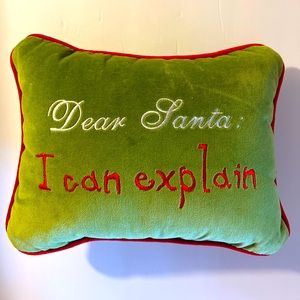 Christmas Pillow Decor
"Dear Santa: I can explain"
